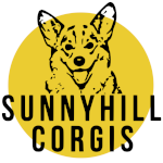 Sunnyhill Corgis